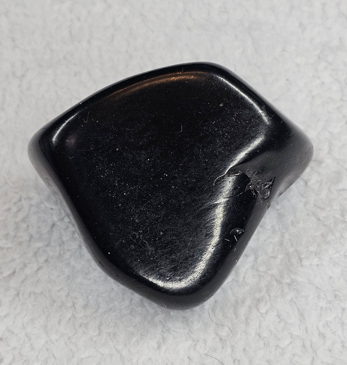Jet Palm Stone