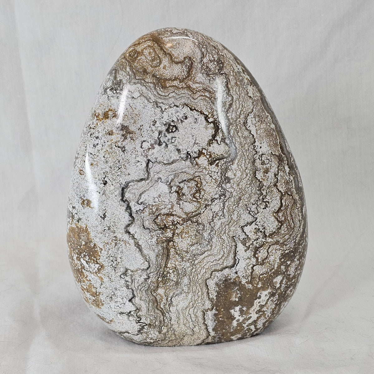 Ocean Jasper Free Forms