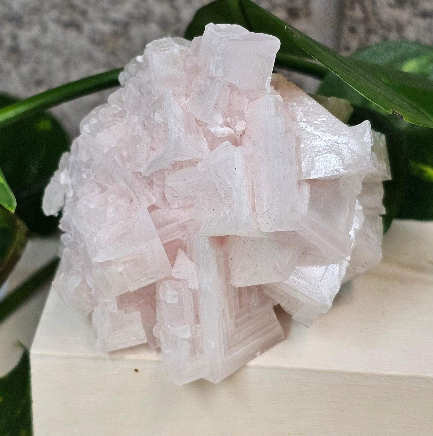 Pink Halite – Trona Valley, California