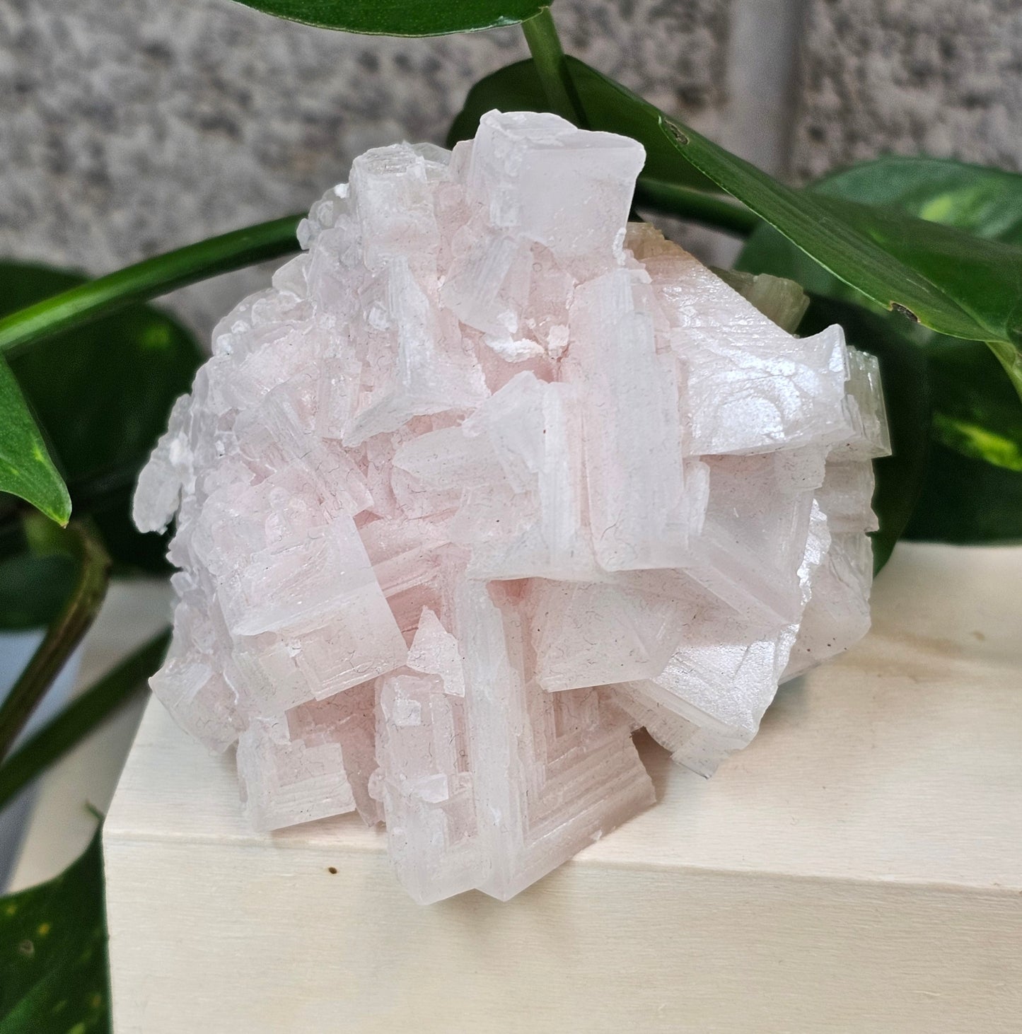 Pink Halite – Trona Valley, California