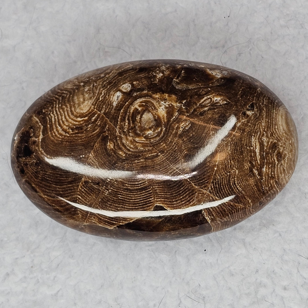 Chocolate Calcite Palm Stone