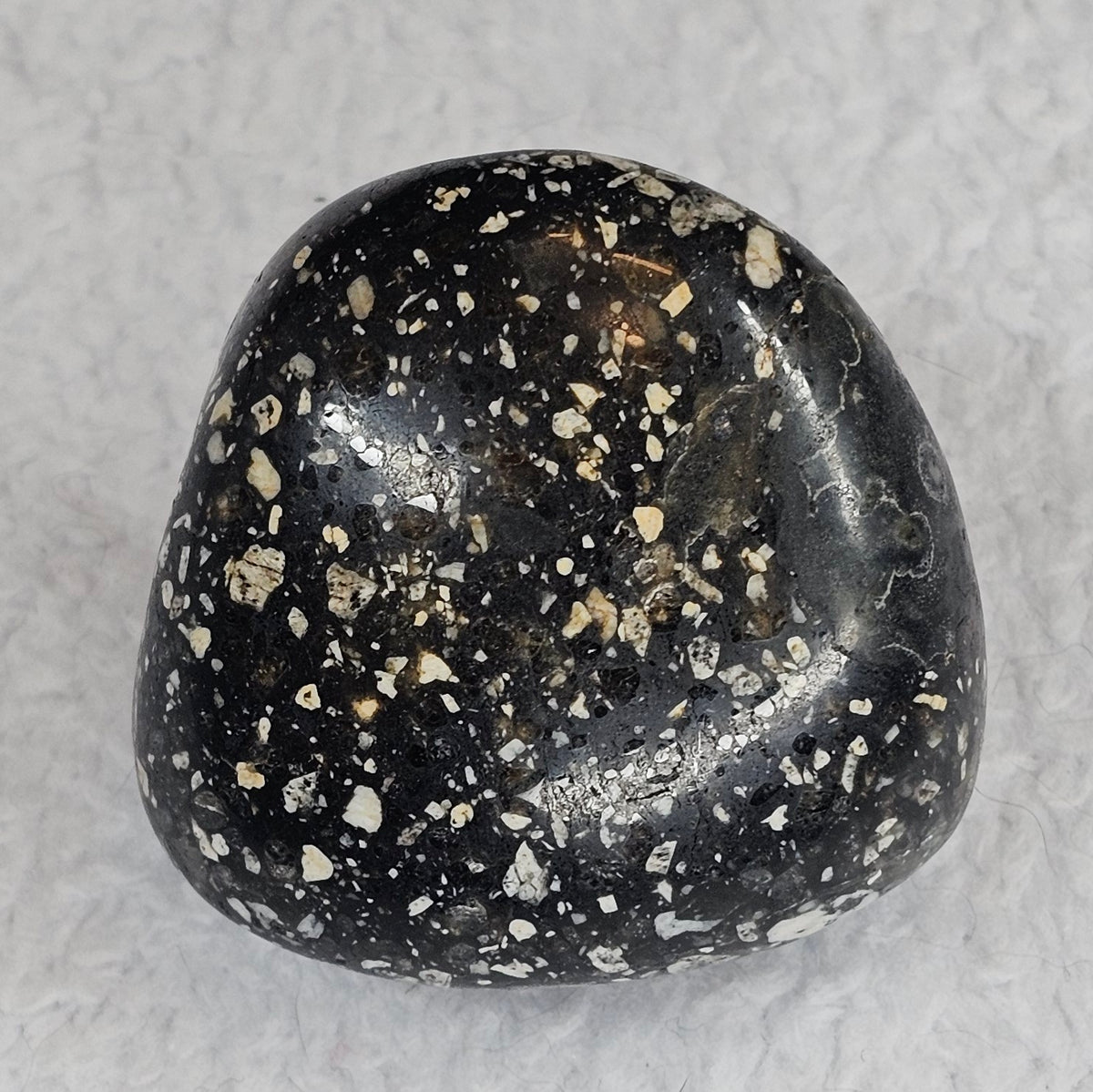 Guinea Fowl Jasper Palm Stone