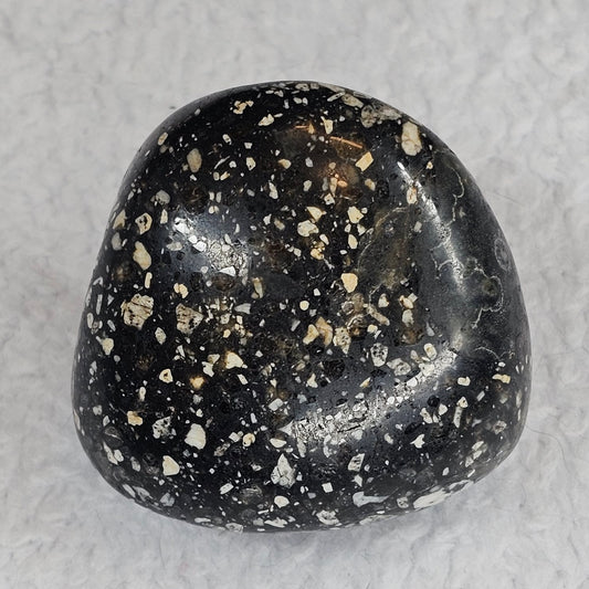 Guinea Fowl Jasper Palm Stone