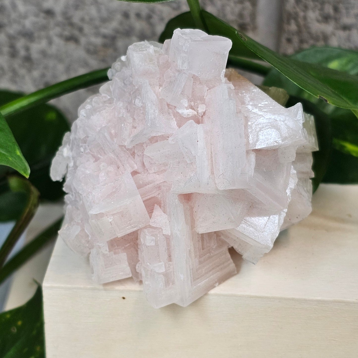 Pink Halite – Trona Valley, California