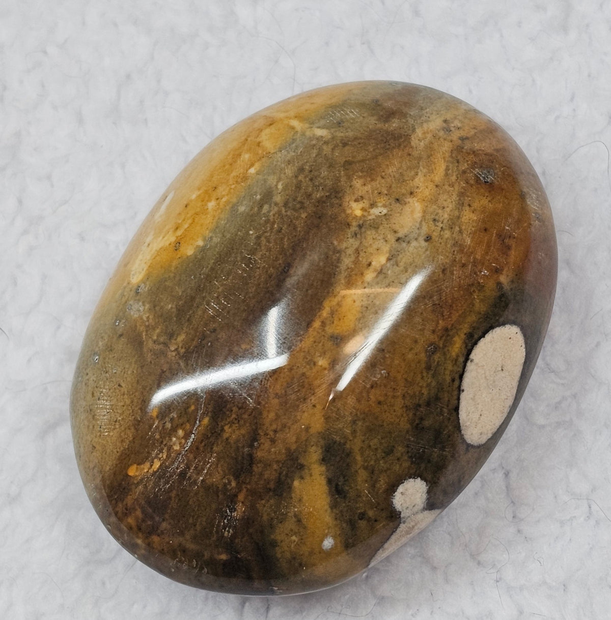 Bumble Bee Jasper Palm Stones