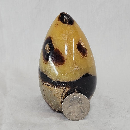 Septarian Free Forms