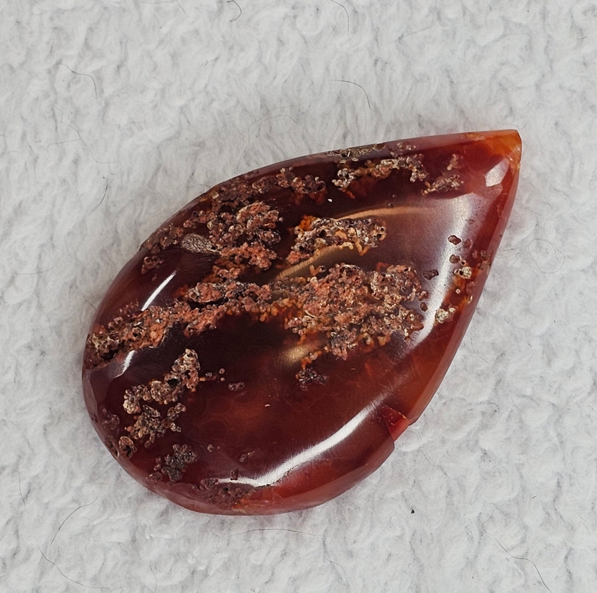 Carnelian Cabachon